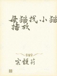 母猫找小猫叫声 播放