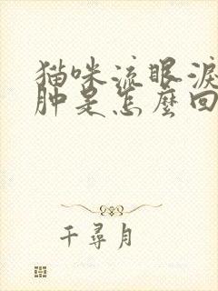 猫咪流眼泪眼睛肿是怎么回事