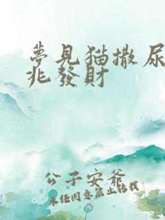 梦见猫撒尿是吉兆发财