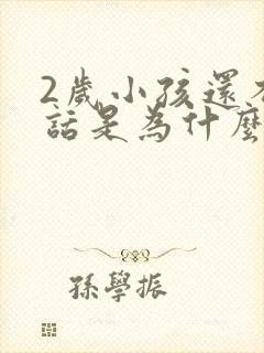 2岁小孩还不说话是为什么