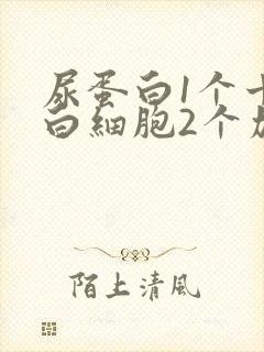 尿蛋白1个十尿白细胞2个加号