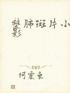 双肺斑片小结节影