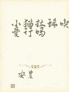 小猫拉稀吃妈咪爱行吗