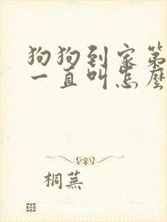 狗狗到家第一天一直叫怎么办