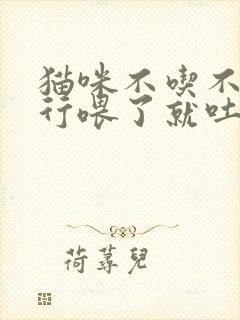 猫咪不吃不喝强行喂了就吐