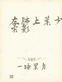 左肺上叶少许条索影