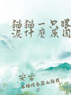 猫猫一只眼睛流泪什么原因