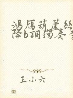 鸿雁葫芦丝简谱降b调独奏李春华