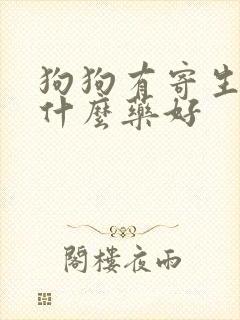 狗狗有寄生虫吃什么药好