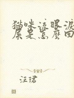 猫咪流眼泪和眼屎是怎么回事