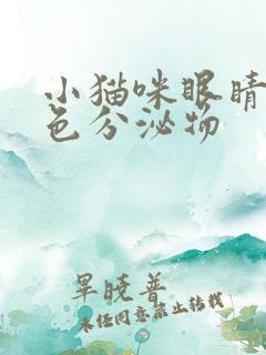 小猫咪眼睛有黄色分泌物