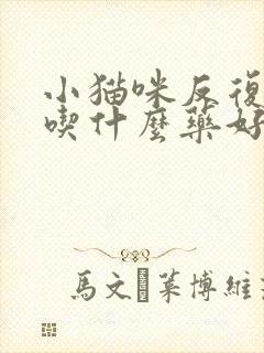 小猫咪反复尿闭吃什么药好