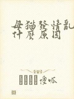 母猫发情乱尿是什么原因