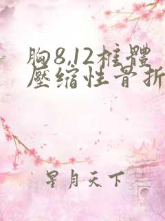 胸8,12椎体压缩性骨折