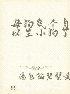 母狗几个月就可以生小狗了