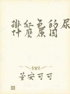 排红色的尿液是什么原因