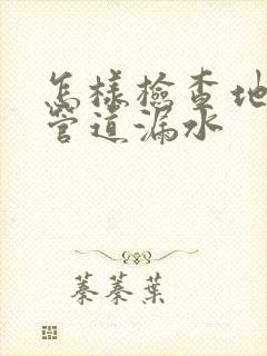 怎样检查地下水管道漏水