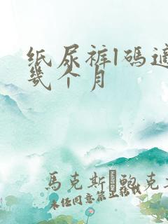 纸尿裤l码适合几个月