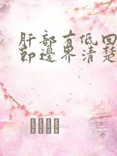 肝部有低回声结节边界清楚形态规则