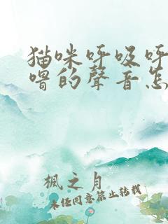 猫咪呼吸呼噜呼噜的声音怎么回事