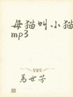 母猫叫小猫声音mp3