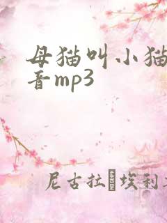 母猫叫小猫的声音mp3