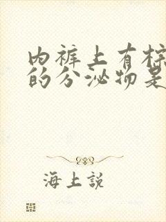 内裤上有棕褐色的分泌物是怎么回事