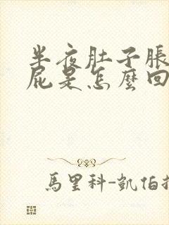 半夜肚子胀气放屁是怎么回事