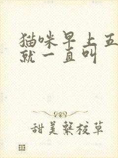 猫咪早上五六点就一直叫