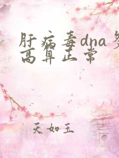 肝病毒dna多高算正常