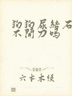 狗狗尿结石可以不开刀吗