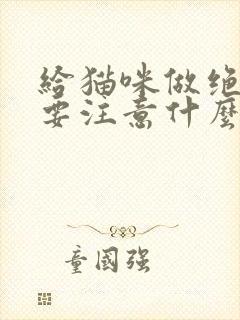 给猫咪做绝育需要注意什么