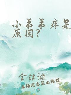 小弟弟疼是什么原因?