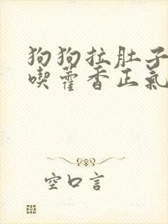 狗狗拉肚子可以吃藿香正气液吗