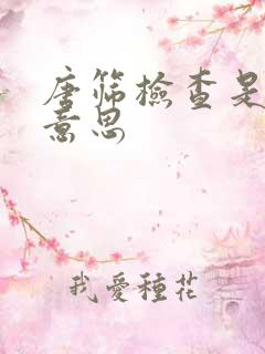 唐筛检查是什么意思