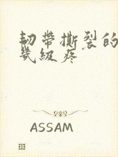 韧带撕裂的疼是几级疼