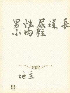 男性尿道长好多小肉粒