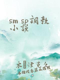 sm sp调教小说