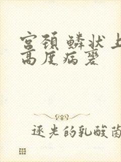 宫颈 鳞状上皮高度病变