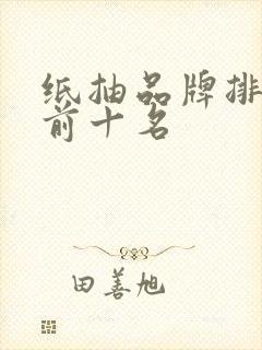 纸抽品牌排行榜前十名