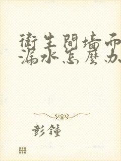 卫生间墙面的砖漏水怎么办