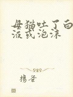 母猫吐了白色黏液或泡沫