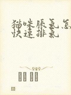 猫咪胀气怎么办快速排气