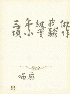 三年级我做了一项小实验作文评语