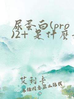 尿蛋白(pro)2+ 是什么意思
