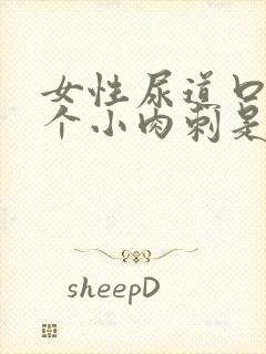 女性尿道口上长个小肉刺是怎么回事