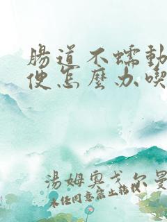 肠道不蠕动不排便怎么办吃什么药