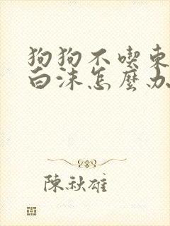 狗狗不吃东西吐白沫怎么办