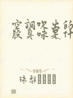 空调吹出的风有股臭味是什么原因