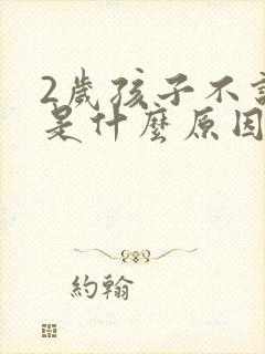 2岁孩子不说话是什么原因引起的